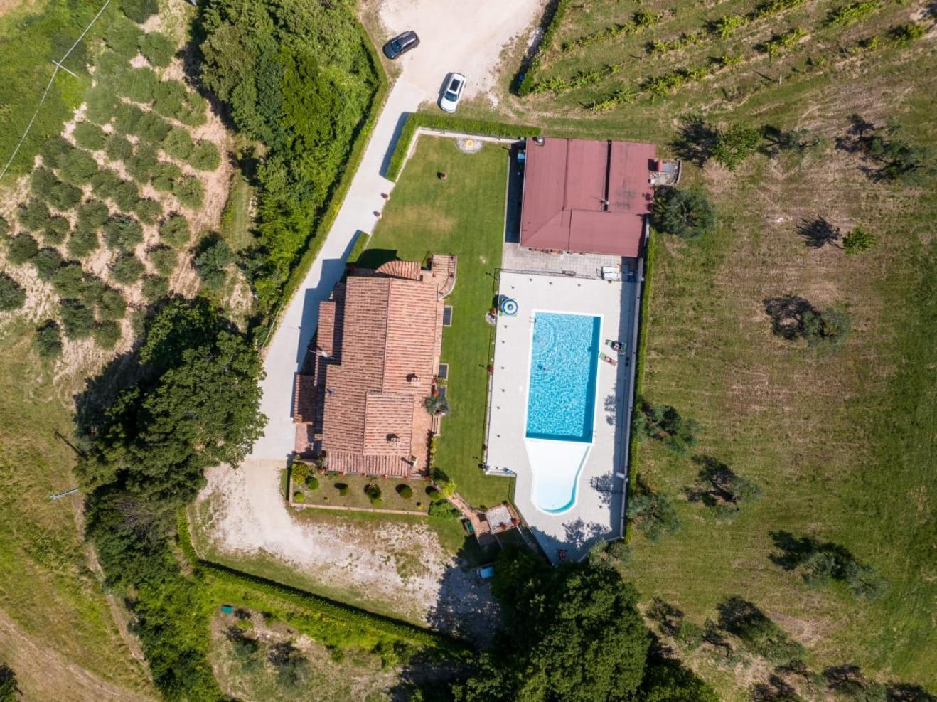 Agriturismo Isola Verde SantʼUrbano Kültér fotó