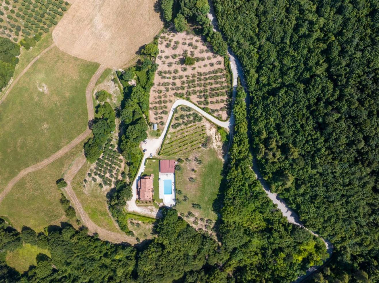 Agriturismo Isola Verde SantʼUrbano Kültér fotó