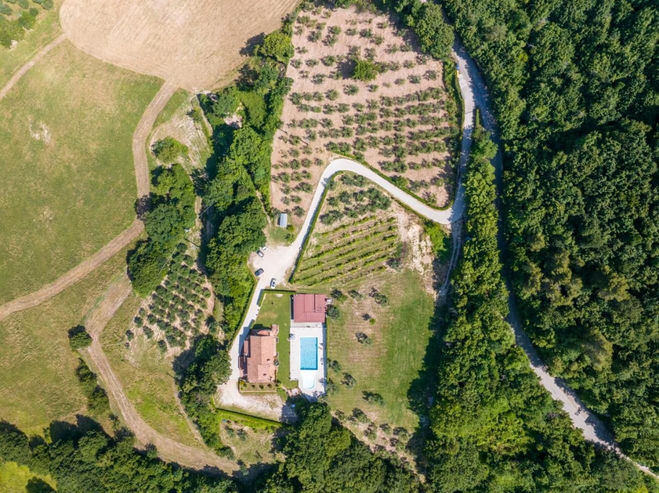 Agriturismo Isola Verde SantʼUrbano Kültér fotó