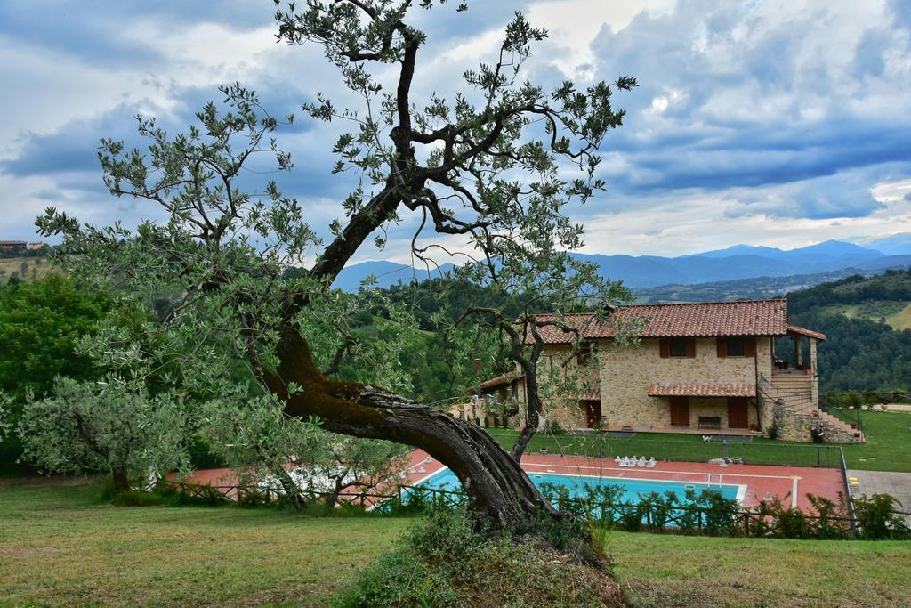 Agriturismo Isola Verde SantʼUrbano Kültér fotó