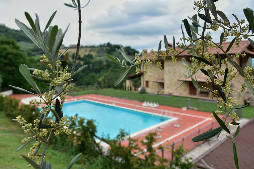 Agriturismo Isola Verde SantʼUrbano Kültér fotó