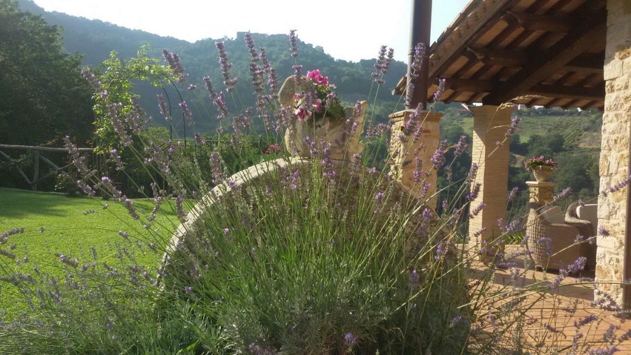 Agriturismo Isola Verde SantʼUrbano Kültér fotó