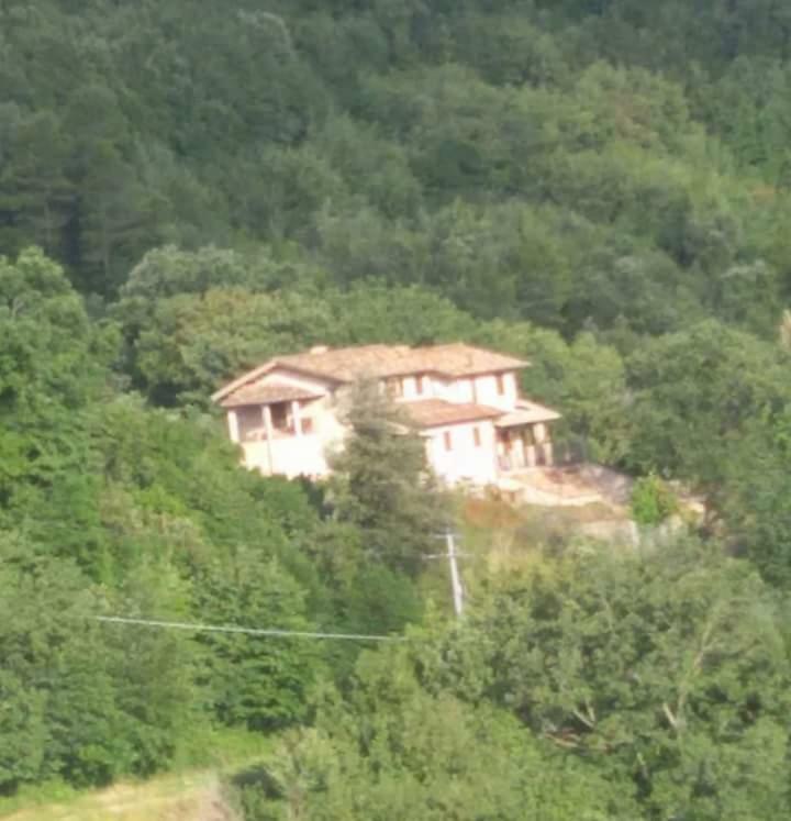 Agriturismo Isola Verde SantʼUrbano Kültér fotó