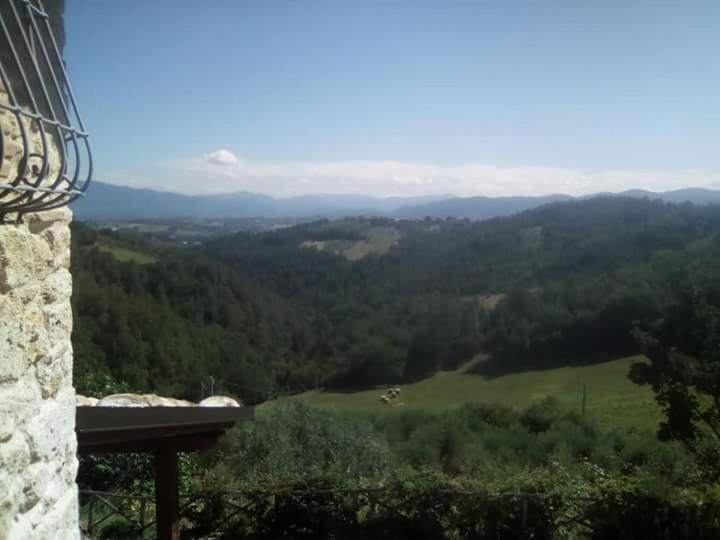 Agriturismo Isola Verde SantʼUrbano Kültér fotó